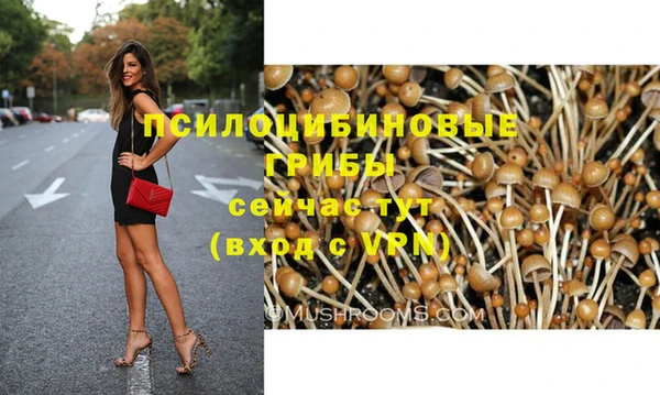 стафф Киреевск